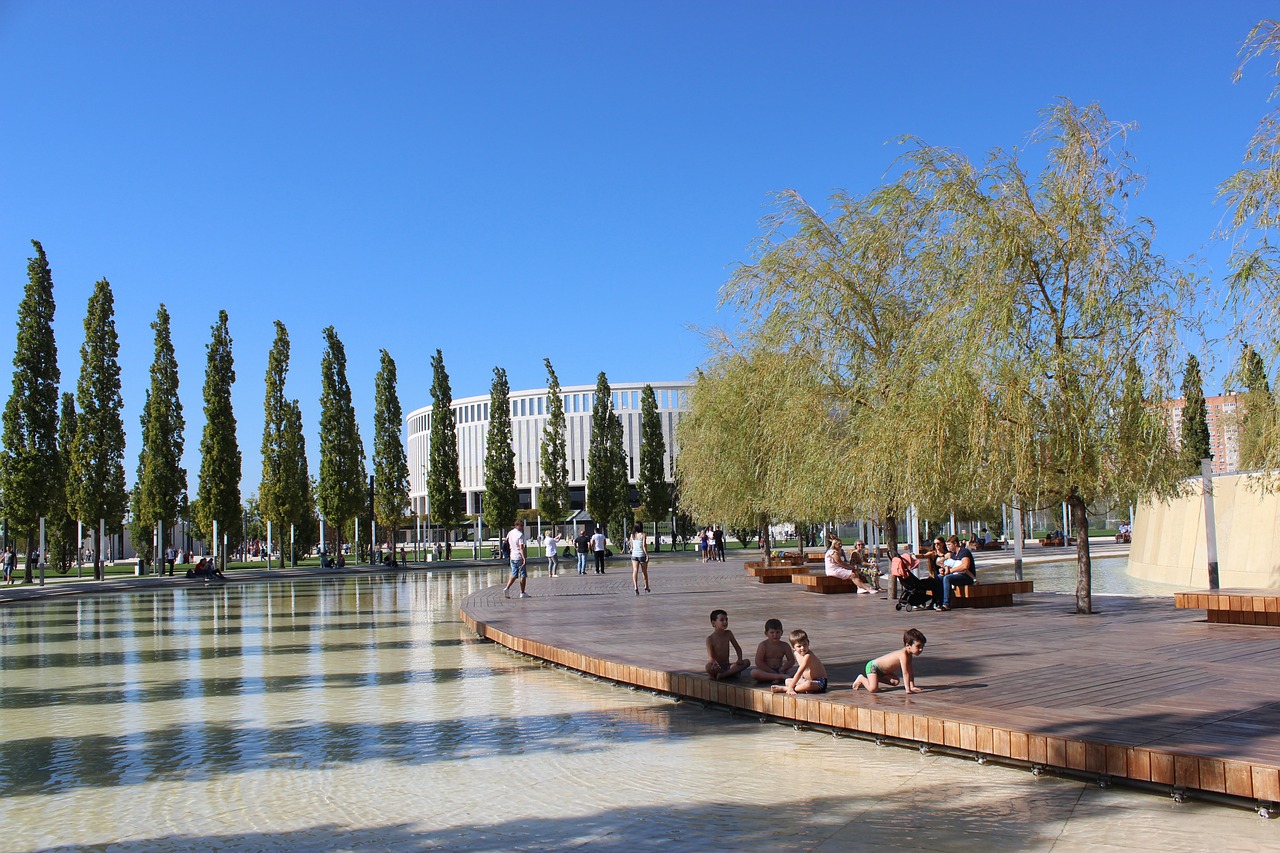 篮球锦标赛 篮球锦标赛