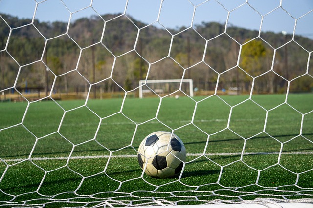 物的角色 物的角色