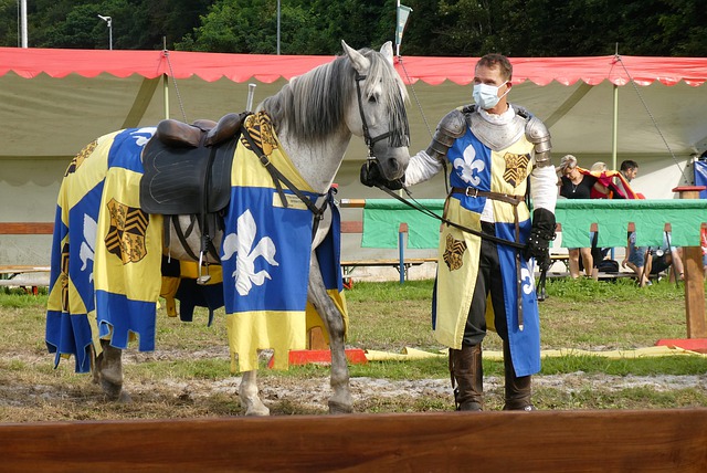 甲这种竞争 甲这种竞争