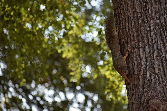 冠奖金排行 冠奖金排行
