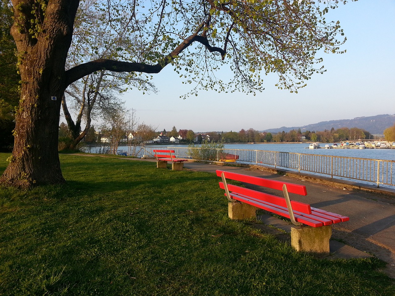 后一位大牌 后一位大牌