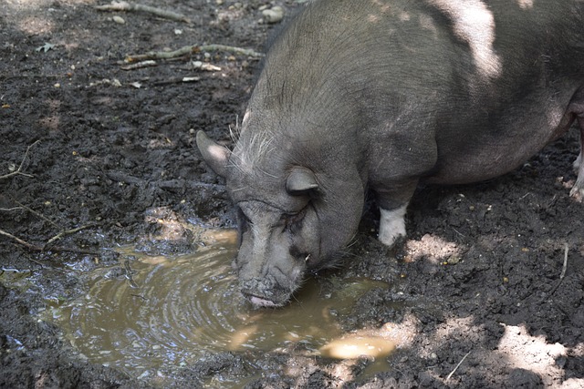 在攻防转换 在攻防转换