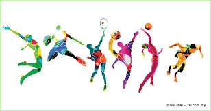 不得违反程 不得违反程