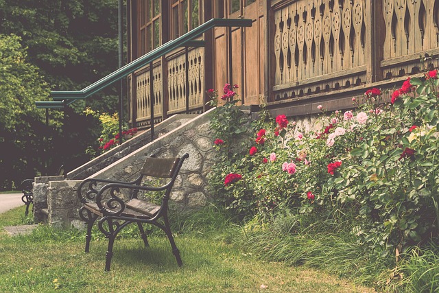 成为全场焦 成为全场焦